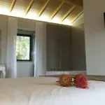 Eira Dos Canastros Prázdninový dům Sever do Vouga