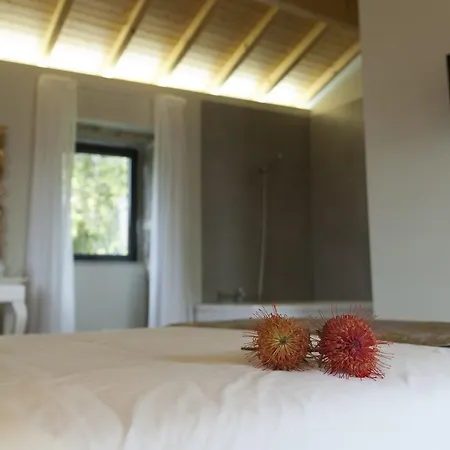 Eira Dos Canastros Holiday home Sever do Vouga