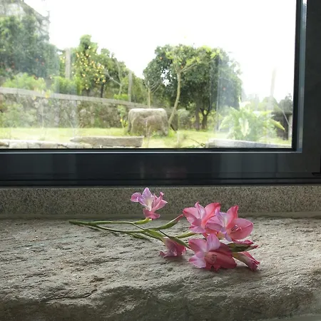 Eira Dos Canastros * Sever do Vouga