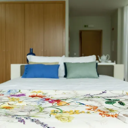 Holiday home Eira Dos Canastros Sever do Vouga