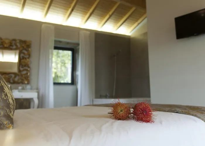 Eira Dos Canastros Semesterbostad Sever do Vouga