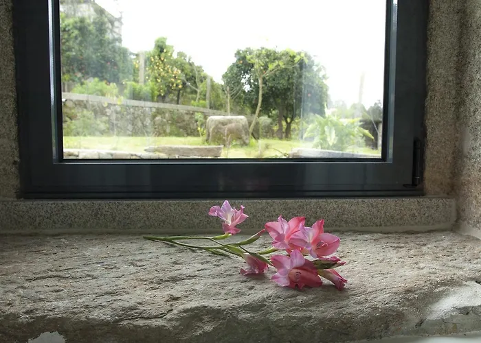 Eira Dos Canastros * Sever do Vouga