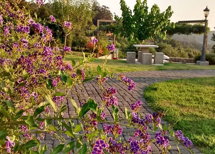 Eira Dos Canastros *