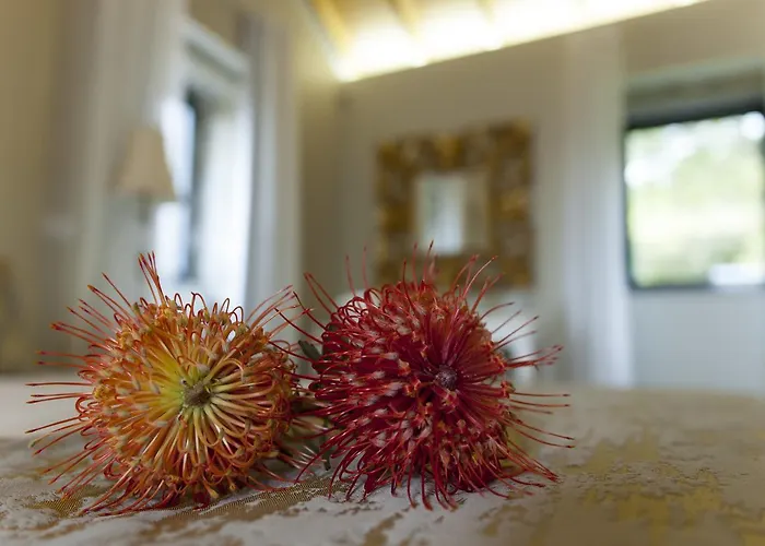 Semesterbostad Eira Dos Canastros Sever do Vouga